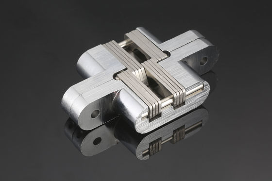 A porta escondida resistente galvanizada articula o anti-corrosivo de múltiplos propósitos